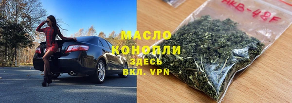 индика Богородицк