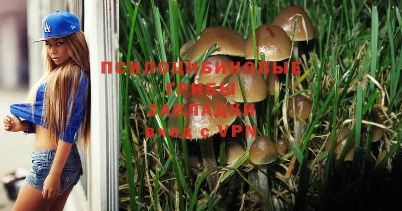 Галлюциногенные грибы Magic Shrooms  блэк спрут вход  Карабулак 